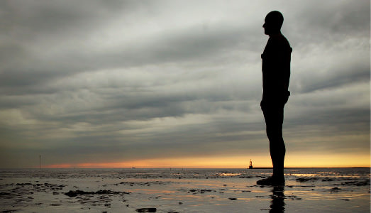 Il gigante del mare